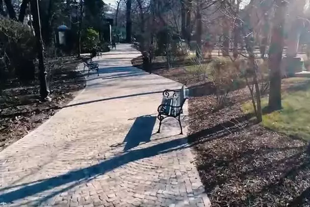 Parcul Grădina Icoanei din București s-a redeschis pentru public. Cum arată după lucrările de amenajare