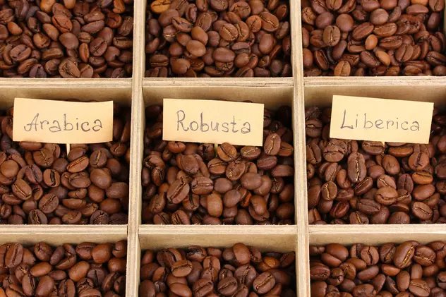 Diferența dintre cafea arabica și robusta