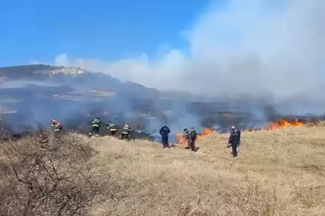Incendiu puternic de vegetație într-o comună din judeţul Buzău, o suprafaţă de 10 hectare este afectată