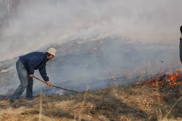 A crescut numărul incendiilor de vegetație în toată țara. Agronomii avertizează: solul nu devine mai fertil, „când arzi un pământ, îl distrugi”