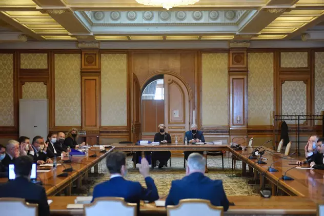 VIDEO. Dezbatere despre „cazul Emilia Şercan” şi intimidarea jurnaliştilor de investigaţie la Parlament