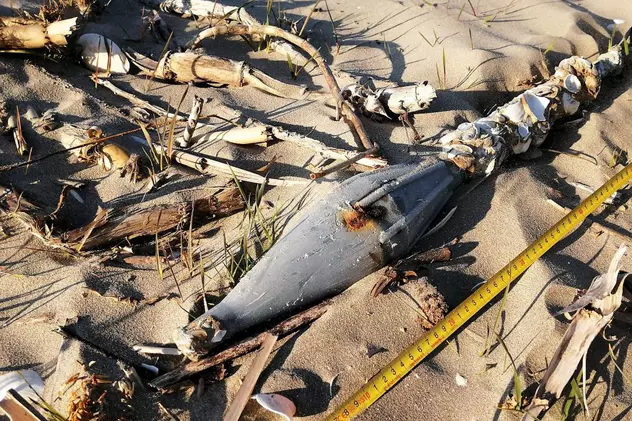 Obiectul găsit pe plaja de la Sfântu Gheorghe este o „lovitură inertă" de aruncător de grenade”. Avea o vechime de 20 de ani