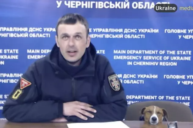 Faimosul câine Patron, care salvează zilnic ucrainenii de minele lăsate în urmă de ruși, surprins când trage un pui de somn în timpul unei conferințe de presă