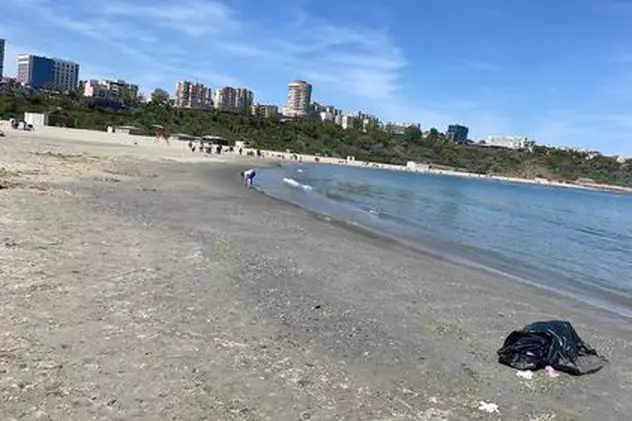 Delfin mort, abandonat pe plaja Modern din Constanța, într-un sac de gunoi
