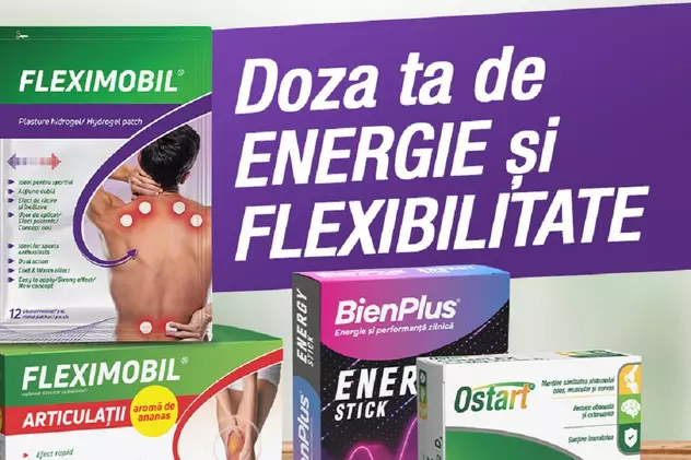 fitterman energie flexibilitate