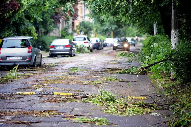 Copaci căzuți și mașini avariate din cauza vântului puternic, în Capitală. În județul Ilfov a căzut grindină