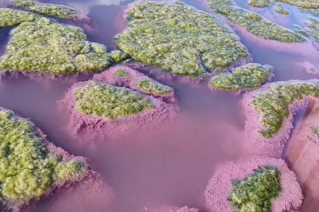 VIDEO |  Lacul Techirghiol a devenit roz. Ce spun specialiștii despre acest fenomen