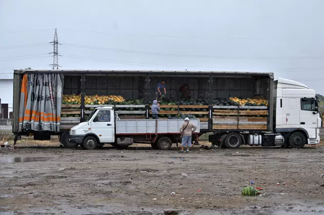 Câte tone de pepeni trebuie să vândă un producător din Dăbuleni ca să-și trimită copilul la o școală bună? Întrebare pentru clasa de mijloc