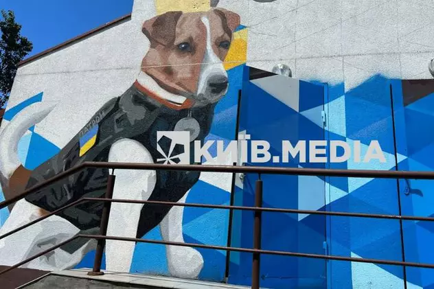 Patron, cățelul genist care ajută la depistarea minelor în Ucraina, pictat pe o clădire din Kiev