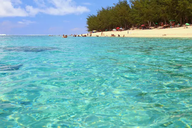 Insula paradisiacă unde au avut atât de multe atacuri ale rechinilor încât înotul este interzis