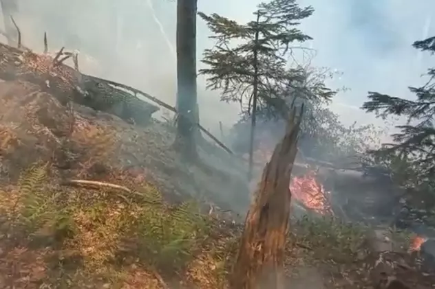 Incendiu de vegetație în zona Piatra Arsă, în pădurea dintre Sinaia și Bușteni. Turiștii l-au semnalat la 112