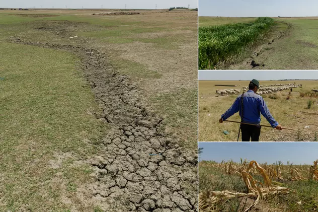 FOTOREPORTAJ Cum arată seceta într-o comună cu finanţări de jumătate de milion de euro pentru agricultori: după subvenţii, deşertul