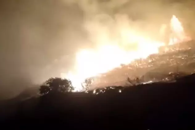 Incendii de vegetație în Grecia. Un oraș din centrul țării a fost evacuat parțial. Focul s-a extins la un hotel din Peloponez