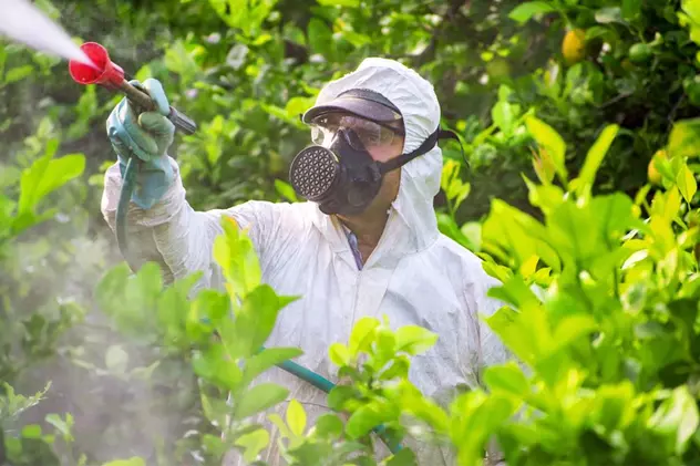 De ce este importantă utilizarea pesticidelor potrivite în agricultură ?
