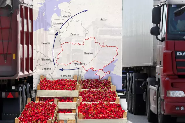 Interviu cu un TIR-ist care transportă cireșe spre Rusia: „Mănâncă tot, fără pretenţii şi plătesc bine”