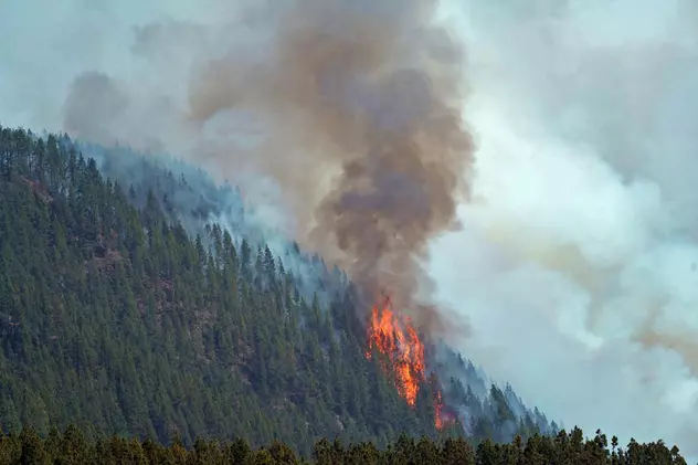 Incendiile forestiere continuă să ardă în Franța și Spania. 58 de focare semnalate și în Grecia, în ultimele 24 de ore
