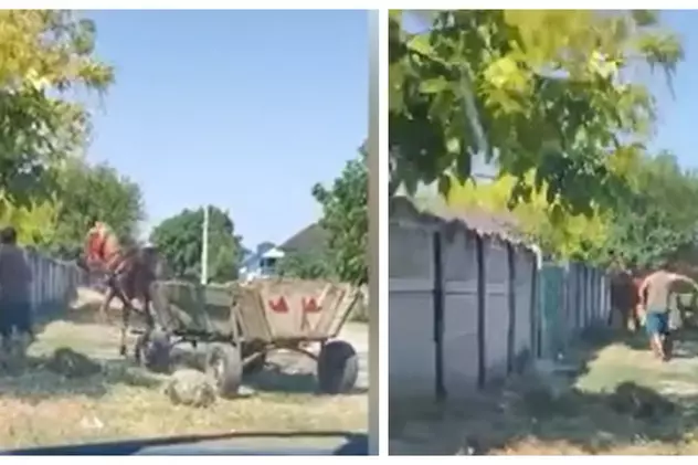 Tânăr de 19 ani, cercetat după ce și-a bătut calul înhămat la o căruță. Momentul a fost filmat  | VIDEO