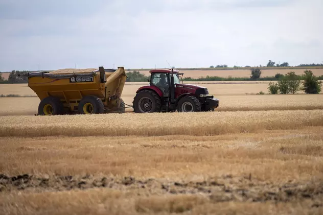 Moscova restricționează drastic importurile de produse agricole din Moldova. Ce motiv au invocat autoritățile ruse