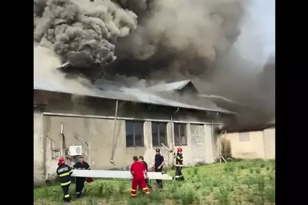 Incendiu la o fabrică de procesare a laptelui din Mizil. Sunt mari degajări de fum