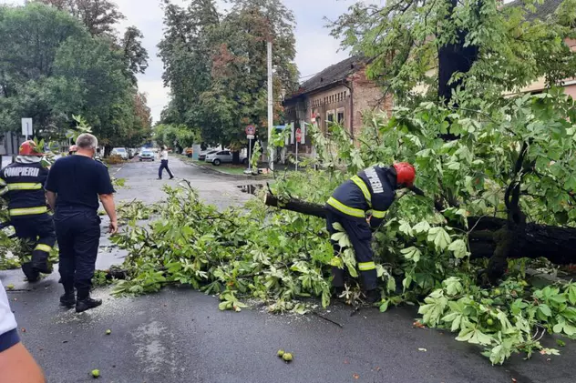 Copaci căzuți pe străzi și cabluri de curent rupte, după ce o furtună a măturat Oradea