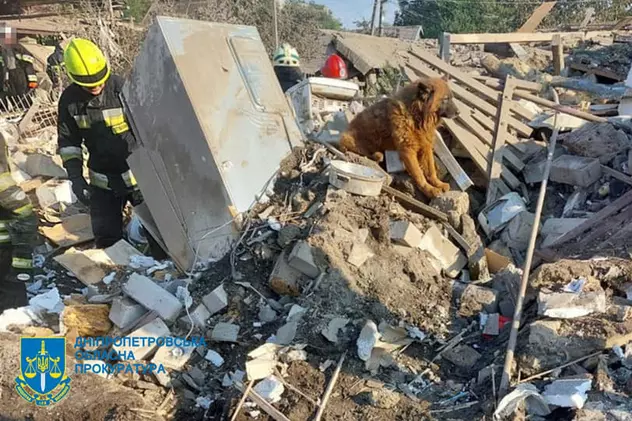 Povestea care a înduioșat și înfuriat Ucraina: câinele Crimeea a refuzat să plece de pe ruinele casei în care i-au murit stăpânii