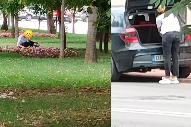O femeie a fost prinsă la furat de flori, în Craiova: „A coborât dintr-o mașină scumpă și a năvălit în rondurile din parc”