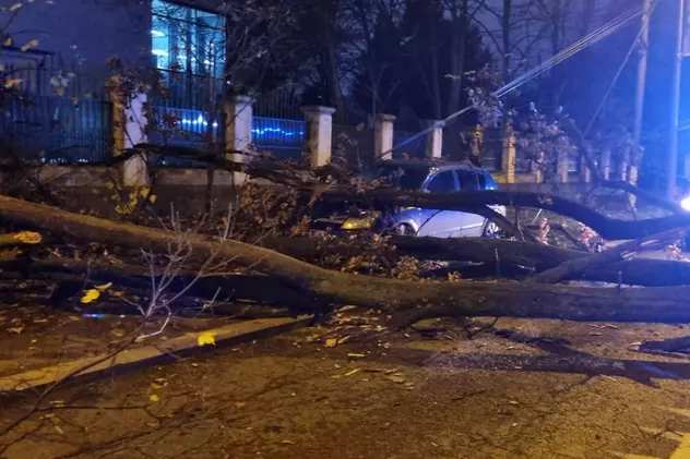 Un bărbat a fost prins sub un copac care a căzut în apropierea sediului Jandarmeriei Române