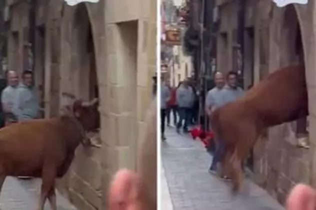 Un taur a sărit pe geamul unei brutării, în timpul unui festival, în Spania: „Dacă nu fugeam, mă călca în picioare”