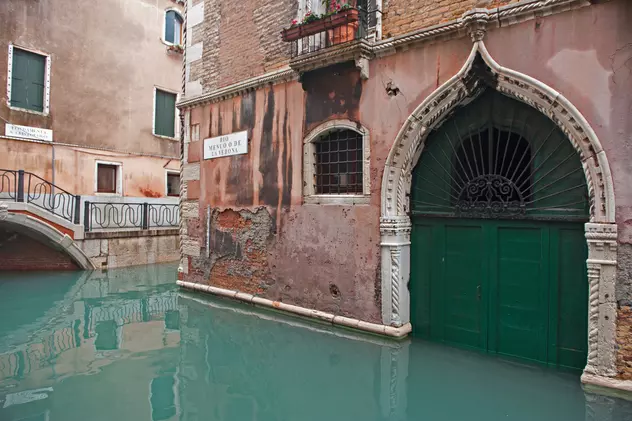 Un lup a fost salvat în Verona după ce rămăsese blocat într-un canal