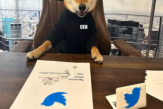 Elon Musk și-a pus câinele în funcția de director al companiei Twitter. „Este super cu cifrele”