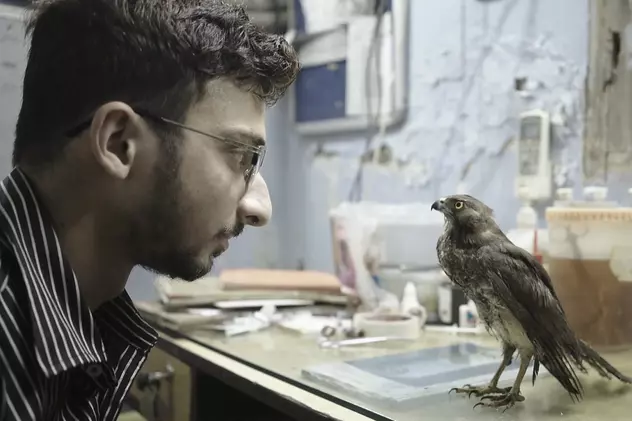 Un film de senzație al anului trecut se vede și în România. Despre gesturi care ne arată că nu e totul pierdut