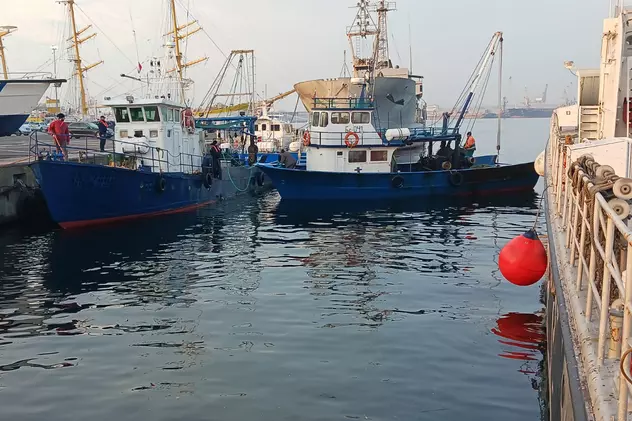 Trei nave bulgărești, prinse la pescuit ilegal în apele românești de la Marea Neagră. Calcan şi rechin, găsiți la bord