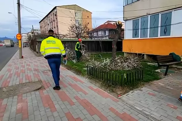 Primarul din Piatra Neamț taie peste 200 de pomi fructiferi pentru că „pătează asfaltul”. „Vom planta arbori ornamentali”