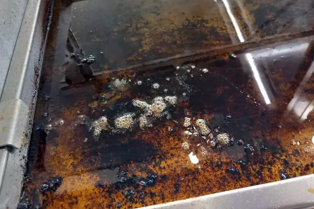 Zeci de magazine Kaufland, controlate de ANPC. Inspectorii au dat amenzi de peste 1,7 milioane de lei
