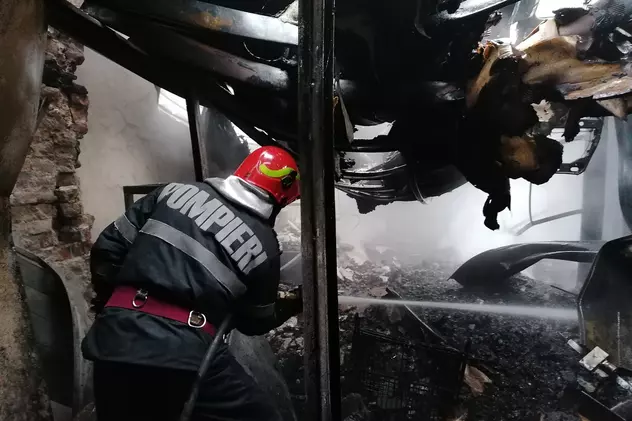 O persoană a fost rănită și peste 200 de animale au murit într-un incendiu la o fermă din Brăila