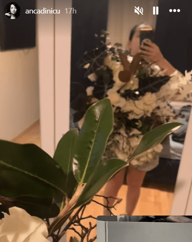 Screenshot 2024-11-15 103838