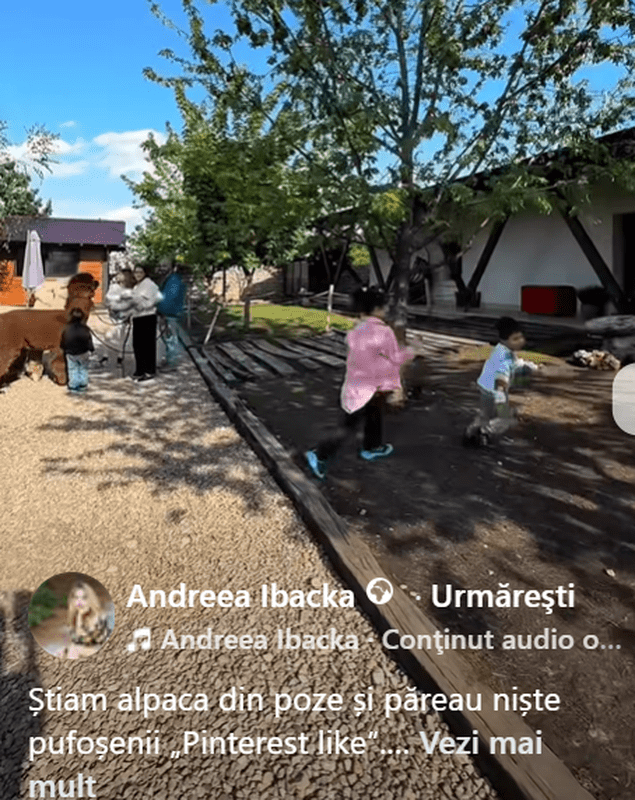 Screenshot 2026-05-12 111640