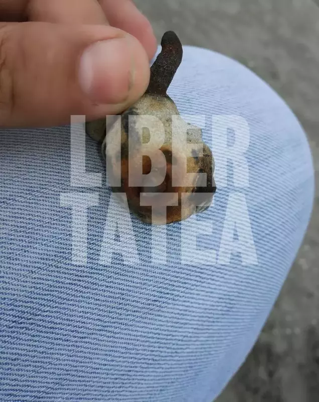 glont plaja constanta 2