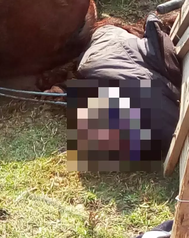 A murit după ce a căzut cu o căruță într-un canal de irigații din Constanța (2)