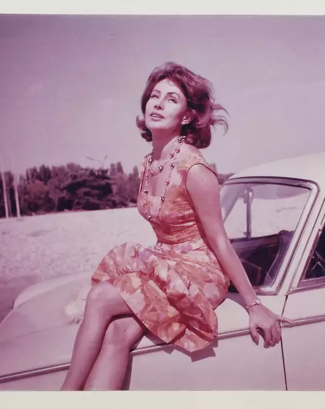 Jurnalul intim al Margăi Barbu este scos la licitație