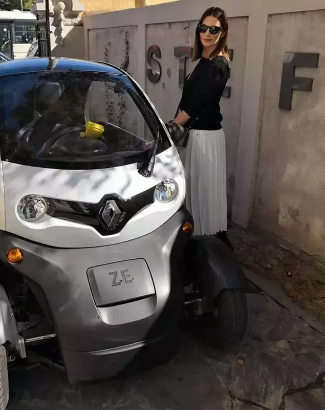 andreea berecleanu-masina