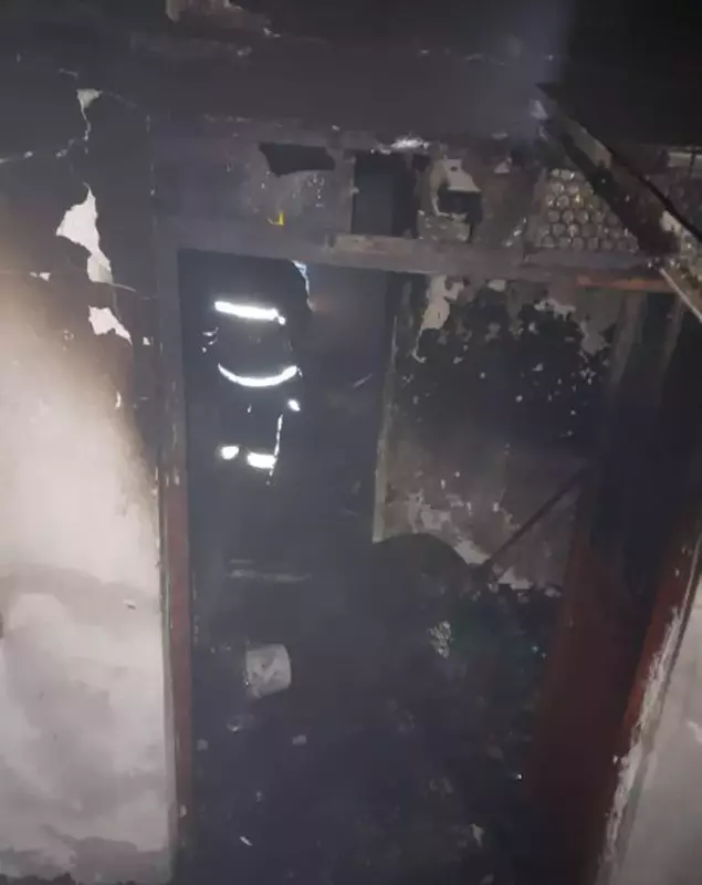 Incendiu violent în localitatea Livada din Arad