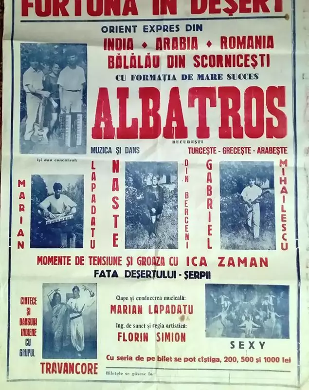 albatros