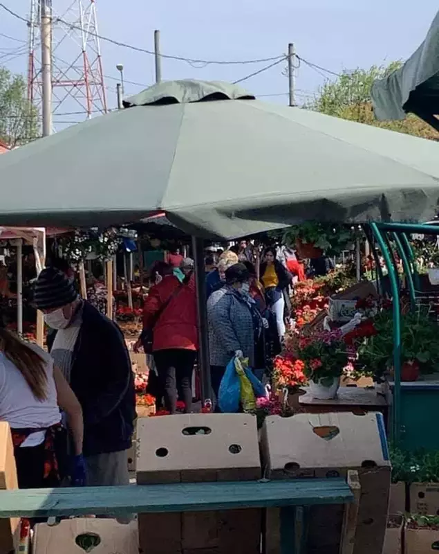 92699610_3167142756664165_1601047981270761472_n