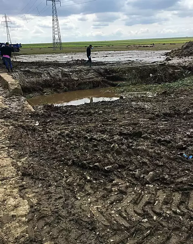 95748480_2725939044294618_5284015448709398528_n