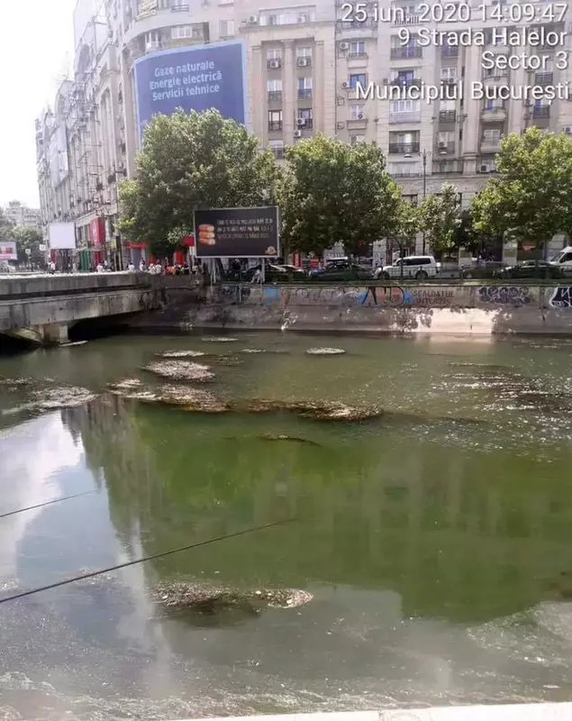 gabriela firea costel alexe dambovita  3