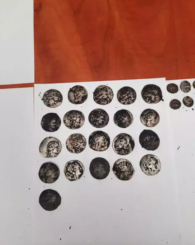 Monedele descoperite la Buftea