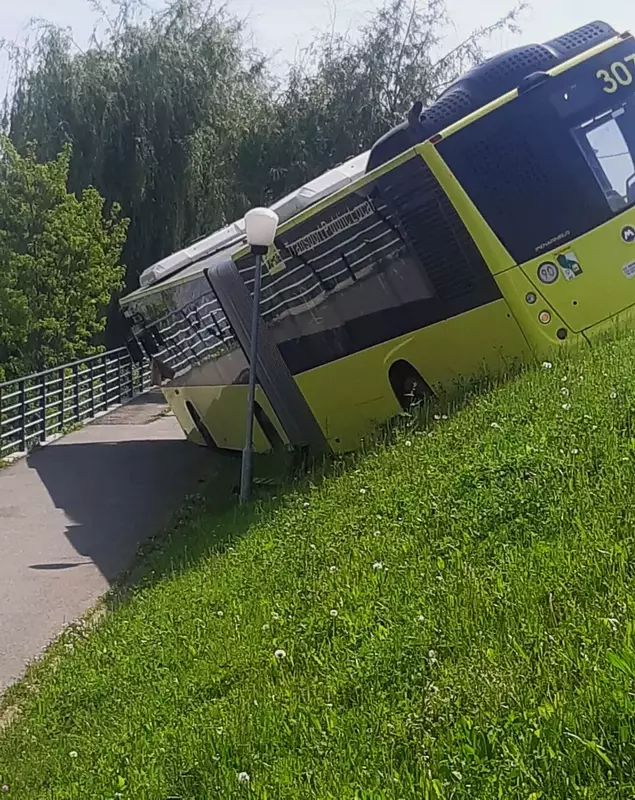 autobuz_sibiu_cibin_2