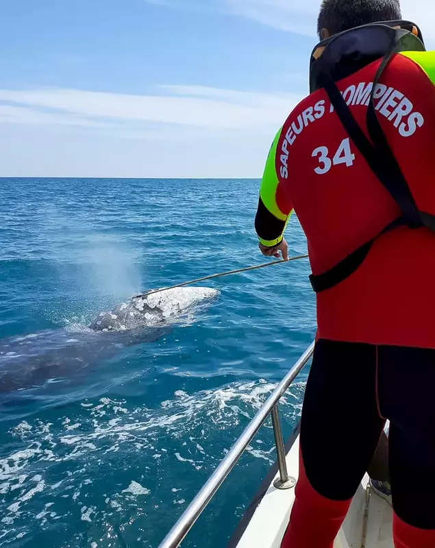 profimedia-0609363421