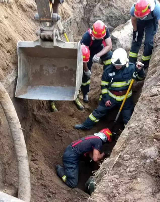 203630577_333966575024258_7399247321748046086_n (1)